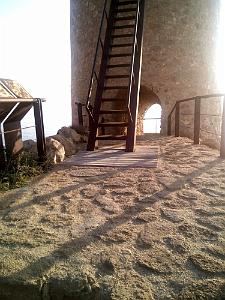 Torre del Pirulico (3)